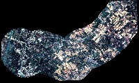 detection project thumbnail