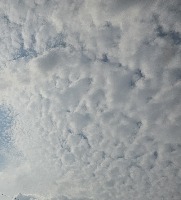 10.31.cloud project thumbnail