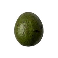 Avocado Apple Orange project thumbnail