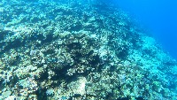 GBR-STARFISH project thumbnail