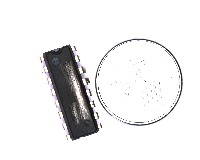 Dataset Image