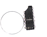 Dataset Image
