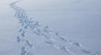 SnowTracks project thumbnail