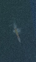 Boat Tracking Model project thumbnail