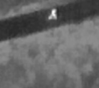 PersonsThermal_Drone project thumbnail