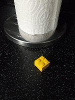 Dataset Image
