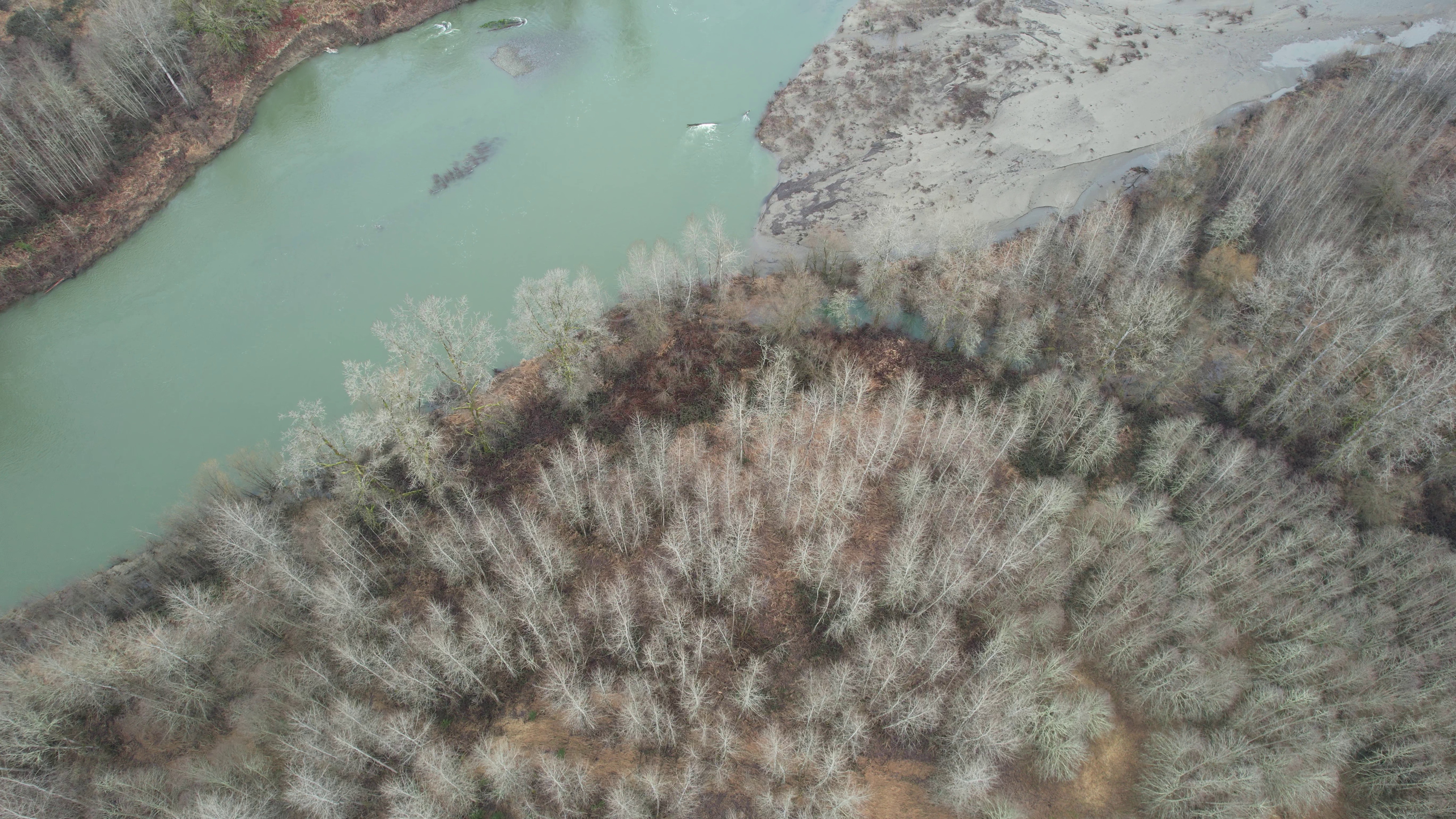 SIGHT CAPSTONE Object Detection Dataset by SIGHT