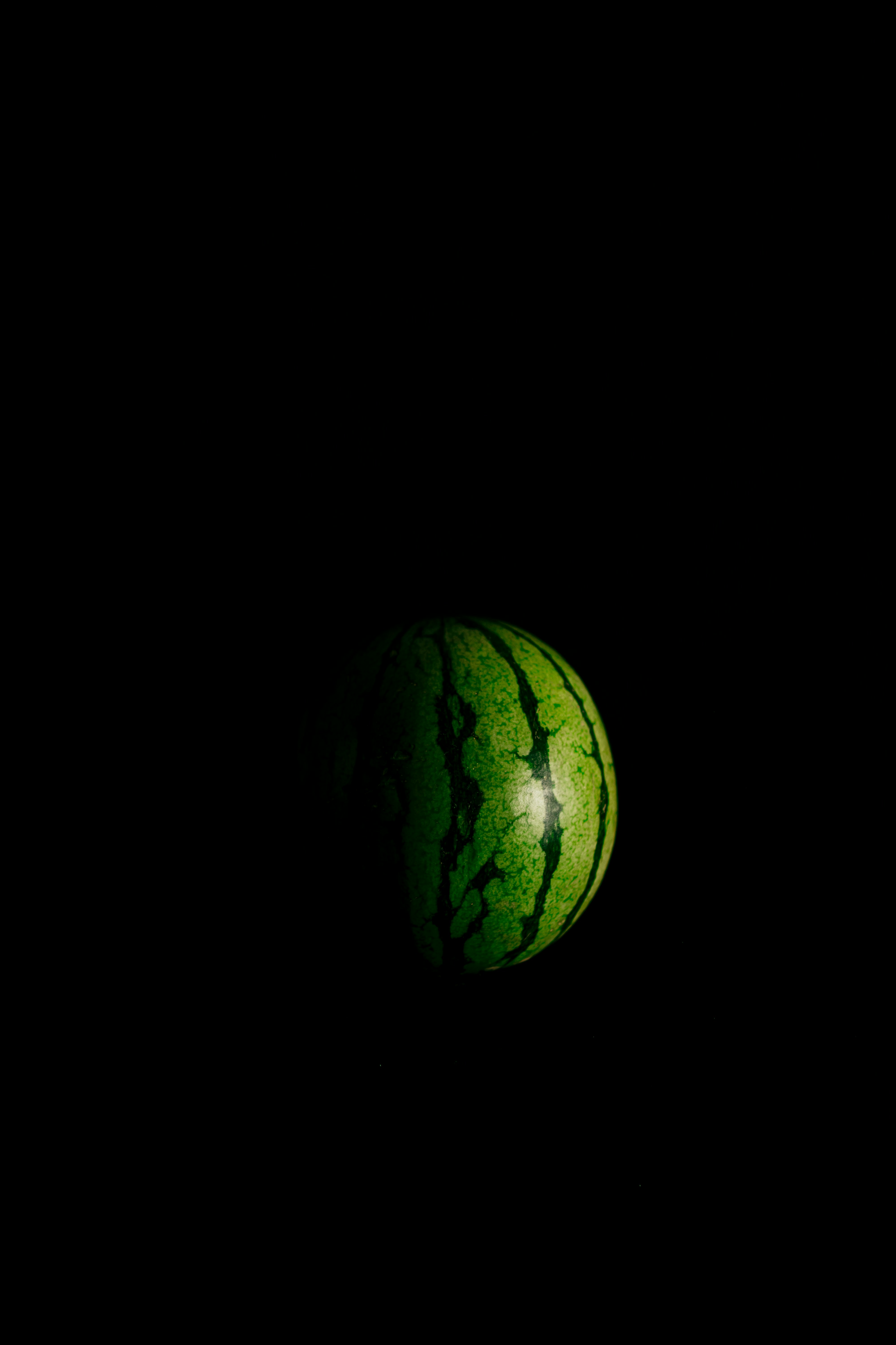 watermelon Object Detection Model by melontrain