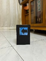 Dataset Image