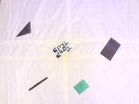 Bittlebot Detection project thumbnail