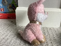 Dataset Image