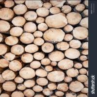 wood dataset project thumbnail