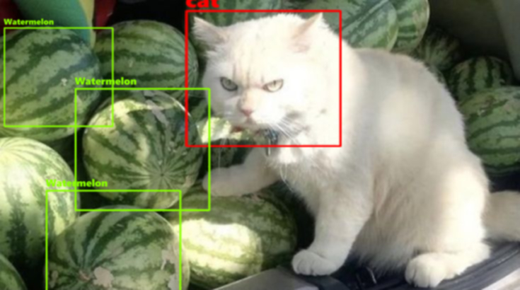 My First Project Object Detection Dataset (v2, CAT_ORANGE_WATERMELON ...