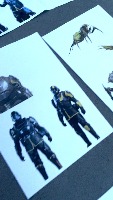 Dataset Image