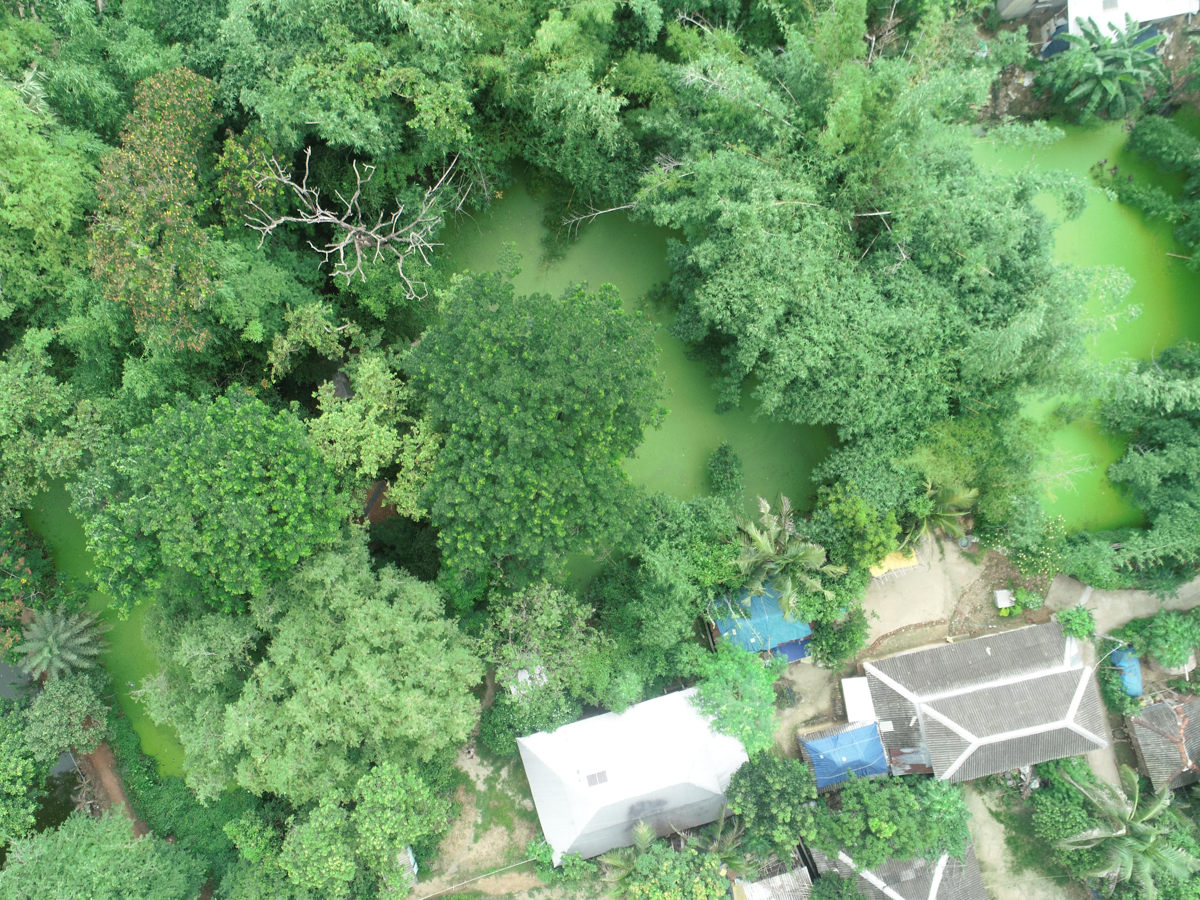 My First Project Object Detection Dataset by House Detaction