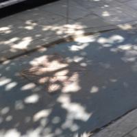 Multi-Country Road Damage Detect project thumbnail