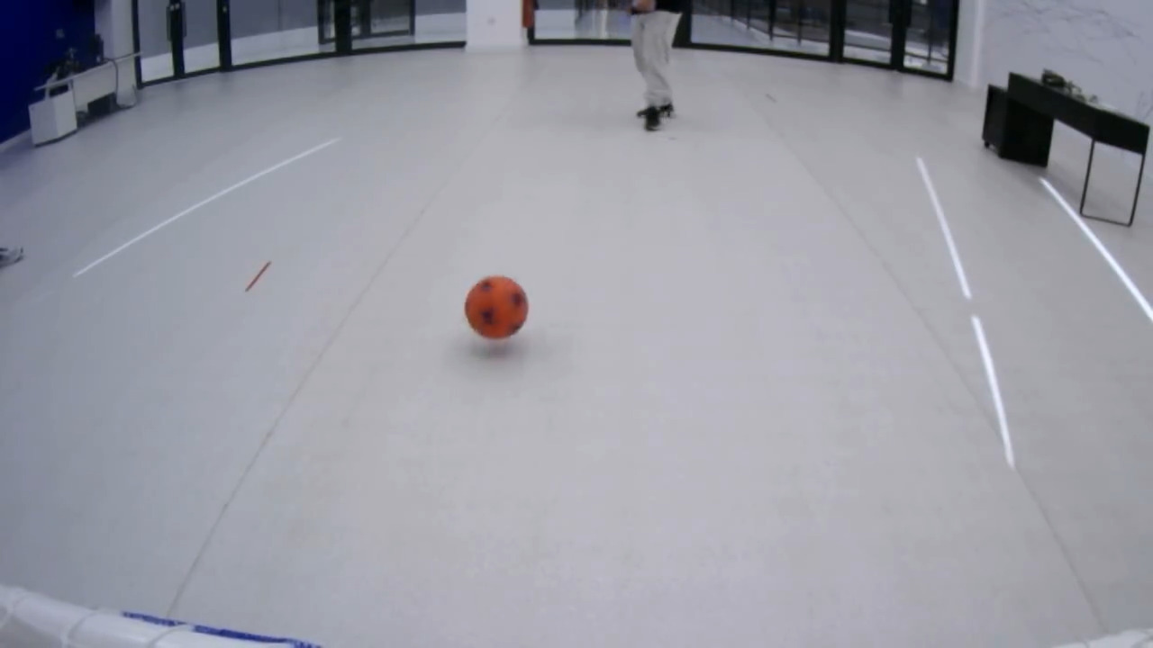 Ball Detection Object Detection Model by Hasan