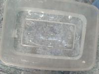 KAY GRACE I2 project thumbnail