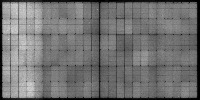 punam_1-50_250522 project thumbnail