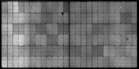 punam_151_195_200522 project thumbnail