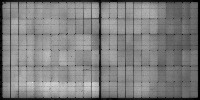 punam_51-100_080622 project thumbnail
