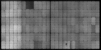 punam_51-100_020622 project thumbnail