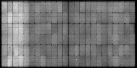 punam_1-50_300522 project thumbnail
