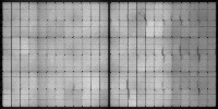 punam_1-50_060622 project thumbnail