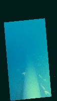 Underwater Pipe Real 1 project thumbnail