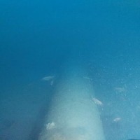Underwater Synthetic 1 project thumbnail