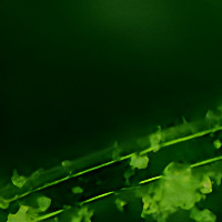 Faser Segmentierung project thumbnail
