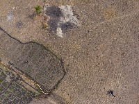 Segmentation of UAV crop images project thumbnail
