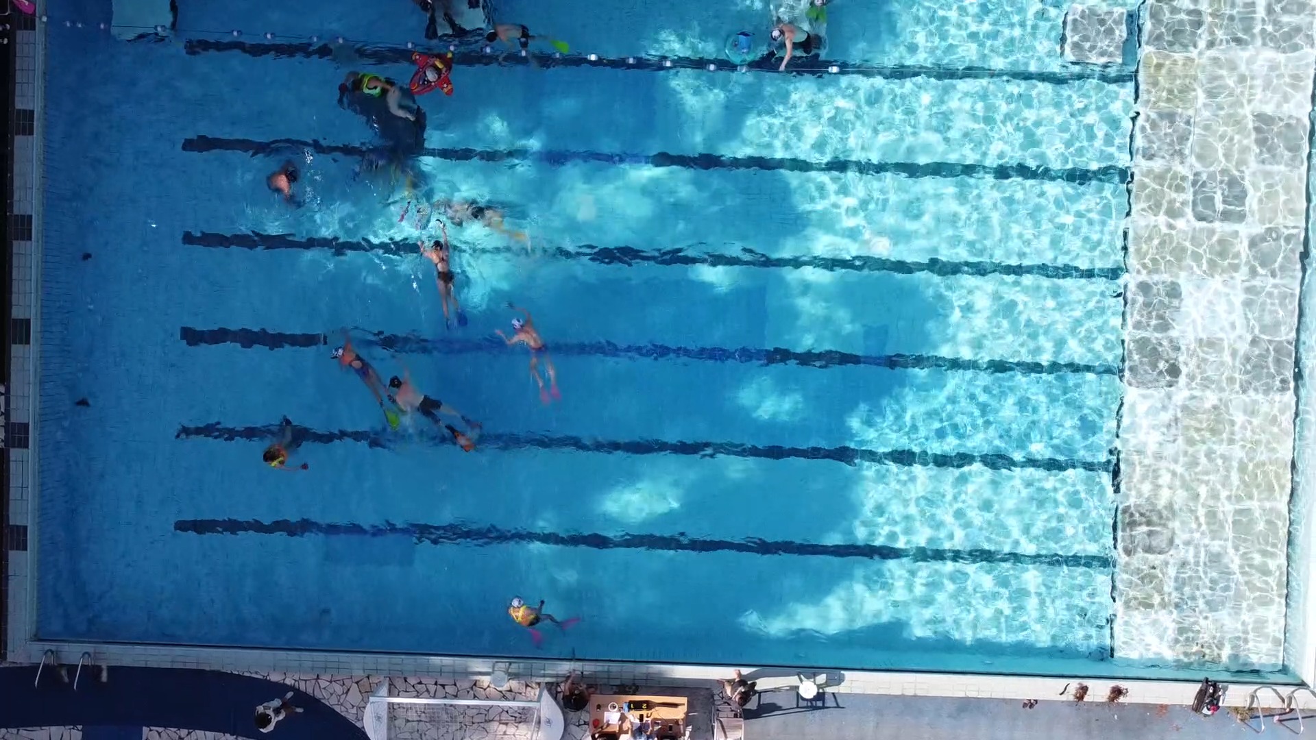 swim Object Detection Model by YOLObee