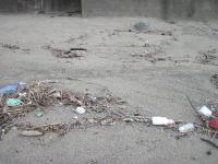plastic project thumbnail