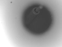 AT201_45480_Pin_in_Hole_train project thumbnail