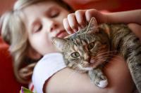 meow project thumbnail
