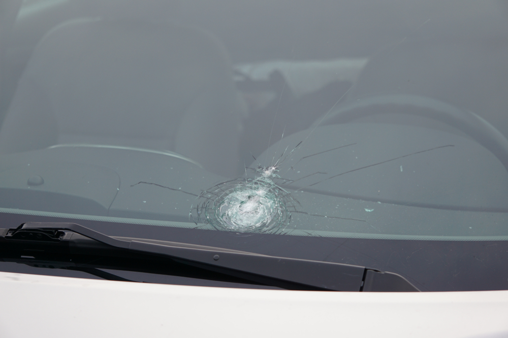 Car Defect Data Object Detection Dataset by Manisha Sen