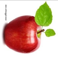apple project thumbnail