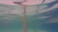 final orca project thumbnail