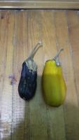 Vegetable Freshness project thumbnail