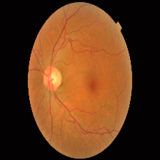 Harsh Kalim harsh kalim 1maps Roboflow Universe