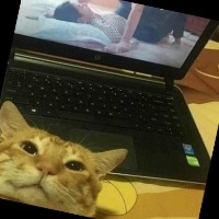 cat detection project thumbnail
