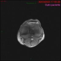 YOLO DATASET  project thumbnail