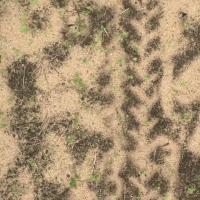Weed detection project thumbnail