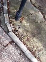 Campus_Cigarette_Butt_Analysis project thumbnail