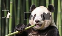 Tencent Captcha Solver project thumbnail