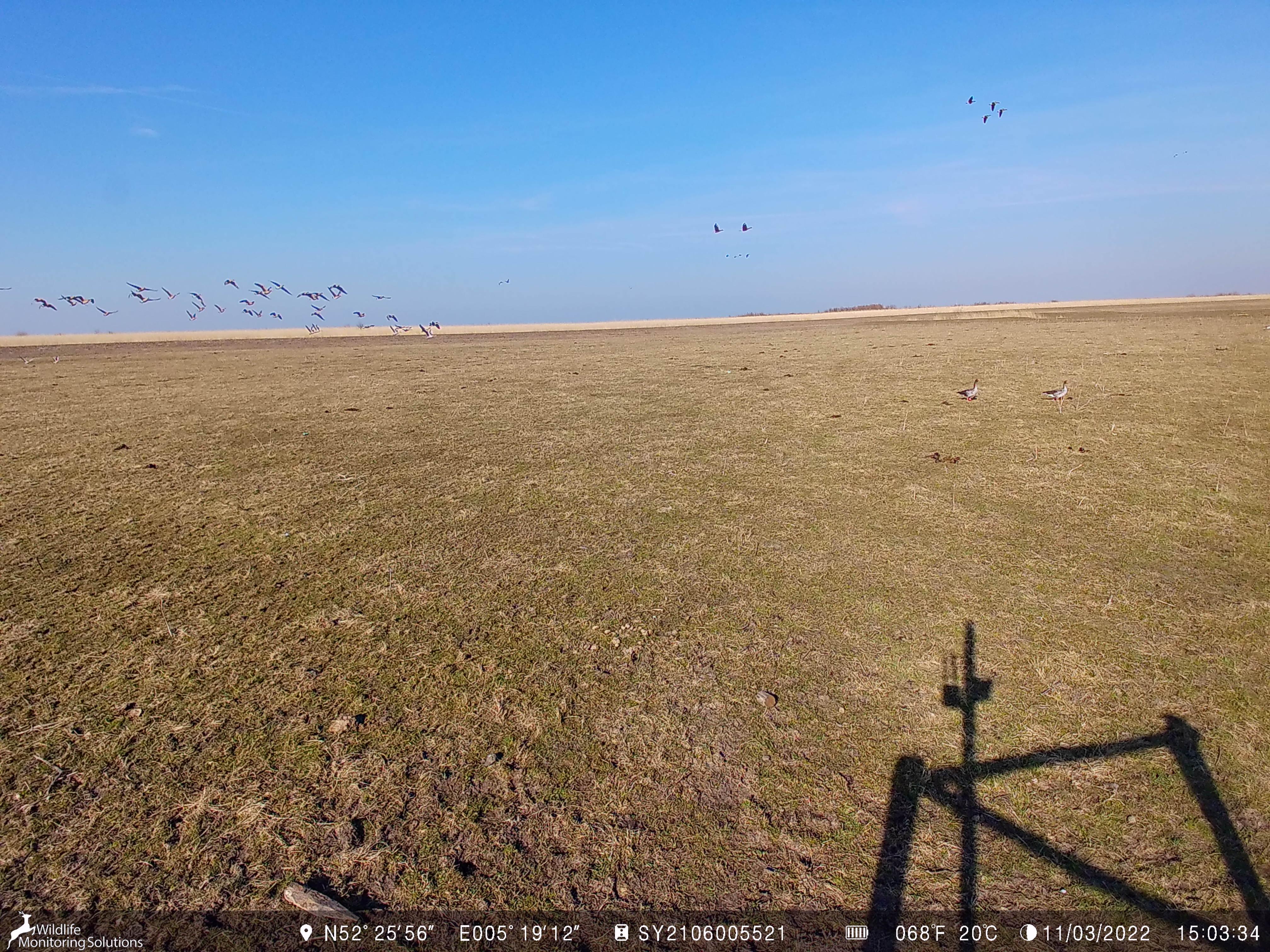 convert Object Detection Dataset by test