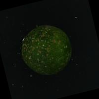 citrus_yolov5 project thumbnail