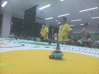 Dataset Image