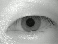 Iris Segmentation project thumbnail
